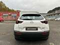 Mazda MX-30 2020 e-Skyactiv 145 ch 5P Bianco - thumbnail 5