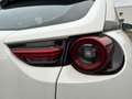 Mazda MX-30 2020 e-Skyactiv 145 ch 5P Blanc - thumbnail 14
