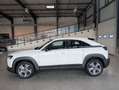 Mazda MX-30 2020 e-Skyactiv 145 ch 5P Білий - thumbnail 8