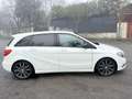 Mercedes-Benz B 220 cdi BE Premium - thumbnail 4