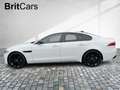 Jaguar XF Diesel D200 R-Dynamic SE WinterPak,Pano,20'' Weiß - thumbnail 3