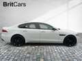 Jaguar XF Diesel D200 R-Dynamic SE WinterPak,Pano,20'' Blanc - thumbnail 7