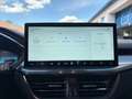 Ford Kuga Titanium 2.5 Duratec PHEV Grün - thumbnail 11
