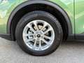 Ford Kuga Titanium 2.5 Duratec PHEV Grün - thumbnail 18