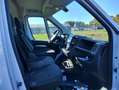 Fiat Ducato 2.2cdti 140cv L2H2 FRIGO Anno 2023 Blanc - thumbnail 9