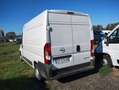 Fiat Ducato 2.2cdti 140cv L2H2 FRIGO Anno 2023 Blanc - thumbnail 2