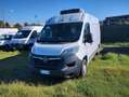 Fiat Ducato 2.2cdti 140cv L2H2 FRIGO Anno 2023 Blanc - thumbnail 4