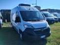 Fiat Ducato 2.2cdti 140cv L2H2 FRIGO Anno 2023 Blanc - thumbnail 1