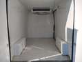 Fiat Ducato 2.2cdti 140cv L2H2 FRIGO Anno 2023 Blanc - thumbnail 6