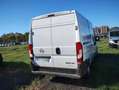Fiat Ducato 2.2cdti 140cv L2H2 FRIGO Anno 2023 Blanc - thumbnail 3