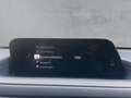 Mazda CX-30 2.0 SKYACTIV-X M-Hybrid / 360° Kamera Grau - thumbnail 12