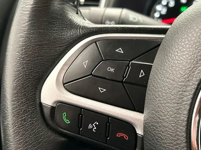 Jeep Renegade view 20