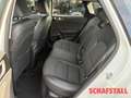 Kia Ceed SW / cee'd SW Plug-in Hybrid Spirit NAV SITZ TECHNIK Alb - thumbnail 15