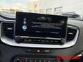 Kia Ceed SW / cee'd SW Plug-in Hybrid Spirit NAV SITZ TECHNIK Alb - thumbnail 12