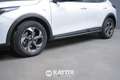 Kia XCeed 1.0 t-GDI 120CV Urban Bianco - thumbnail 4