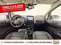 Ford EcoSport 1.0 ecoboost active s&s 125cv GPL Bianco - thumbnail 10
