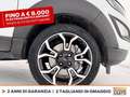 Ford EcoSport 1.0 ecoboost active s&s 125cv GPL Bianco - thumbnail 14