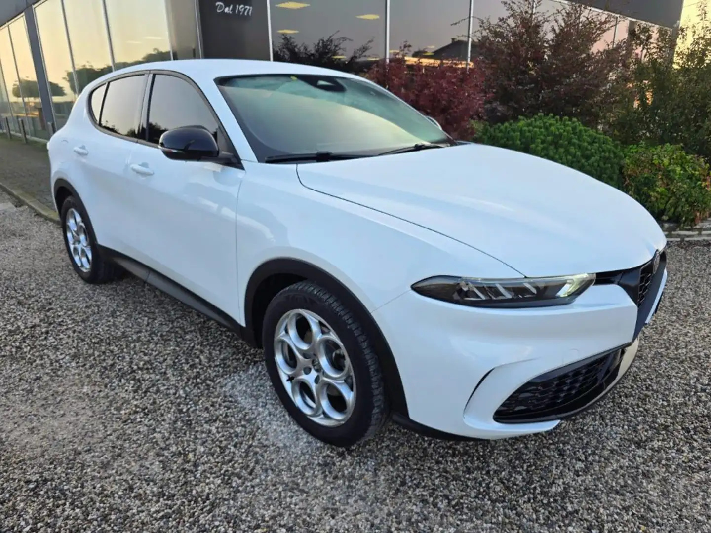 Alfa Romeo Tonale 1.6 diesel TCT6 Sprint Bianco - 2