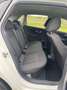 Volkswagen Polo Polo 1.2i White Edition /Garantie 12m. Wit - thumbnail 11