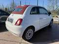 Fiat 500C 500C 1.0 hybrid Dolcevita 70cv Weiß - thumbnail 4