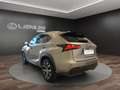 Lexus NX 300h NX 300h 2.5 F-Sport 4wd cvt Grigio - thumbnail 4