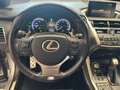 Lexus NX 300h NX 300h 2.5 F-Sport 4wd cvt Grigio - thumbnail 6