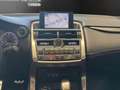 Lexus NX 300h NX 300h 2.5 F-Sport 4wd cvt Grigio - thumbnail 10