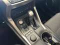 Lexus NX 300h NX 300h 2.5 F-Sport 4wd cvt Grigio - thumbnail 12