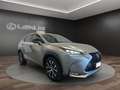 Lexus NX 300h NX 300h 2.5 F-Sport 4wd cvt Grigio - thumbnail 2