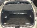 Lexus NX 300h NX 300h 2.5 F-Sport 4wd cvt Grigio - thumbnail 13