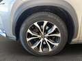 Lexus NX 300h NX 300h 2.5 F-Sport 4wd cvt Grigio - thumbnail 14