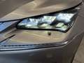 Lexus NX 300h NX 300h 2.5 F-Sport 4wd cvt Grigio - thumbnail 15