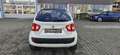 Suzuki Ignis Comfort+ White - thumbnail 15