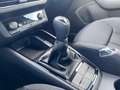 Skoda Scala 1.0l TSI TOUR LED*AHK*5 JahreGarantie*GRA Gris - thumbnail 18