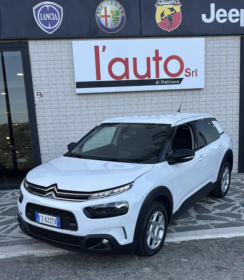 Citroen C4 C4 Cactus 1.5 bluehdi Shine s Bianco - 1