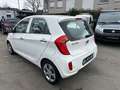 Kia Picanto Edition 7 Weiß - thumbnail 8