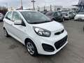 Kia Picanto Edition 7 Weiß - thumbnail 4