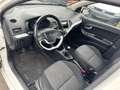 Kia Picanto Edition 7 Weiß - thumbnail 11