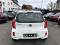 Kia Picanto Edition 7 Weiß - thumbnail 7