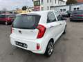 Kia Picanto Edition 7 Weiß - thumbnail 6