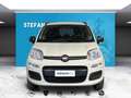 Fiat Panda III - panda 0.9 t.air t. natural power Lounge 80cv Jaune - thumbnail 2