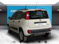 Fiat Panda III - panda 0.9 t.air t. natural power Lounge 80cv Jaune - thumbnail 5
