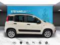Fiat Panda III - panda 0.9 t.air t. natural power Lounge 80cv Jaune - thumbnail 3