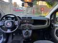 Fiat Panda Panda III 2021  1.0 firefly hybrid City Cs s Grau - thumbnail 3