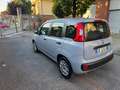 Fiat Panda Panda III 2021  1.0 firefly hybrid City Cs s Grau - thumbnail 5