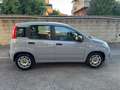 Fiat Panda Panda III 2021  1.0 firefly hybrid City Cs s Grau - thumbnail 2