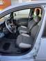 Fiat Panda Panda III 2021  1.0 firefly hybrid City Cs s Grau - thumbnail 12