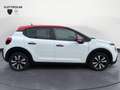 Citroen C3 BlueHDi 100 S&S Shine Blanco - thumbnail 7