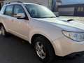 Subaru Forester Forester+2,0D+Classic+Classic Weiß - thumbnail 3