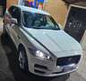 Jaguar F-Pace F-Pace 2.0d i4 Prestige awd 180cv auto my20 Bianco - thumbnail 2
